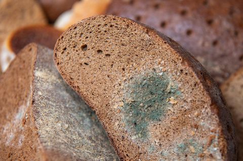 Bild eines Brotlaibes mit grünem Schimmel