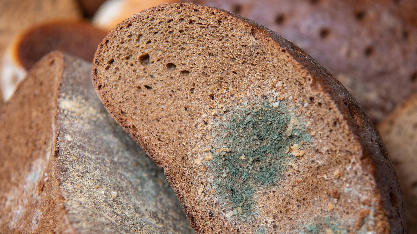 Bild eines Brotlaibes mit grünem Schimmel