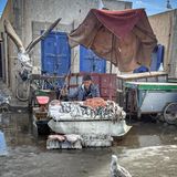 Mann sitzt vor Fischtheke im Regen