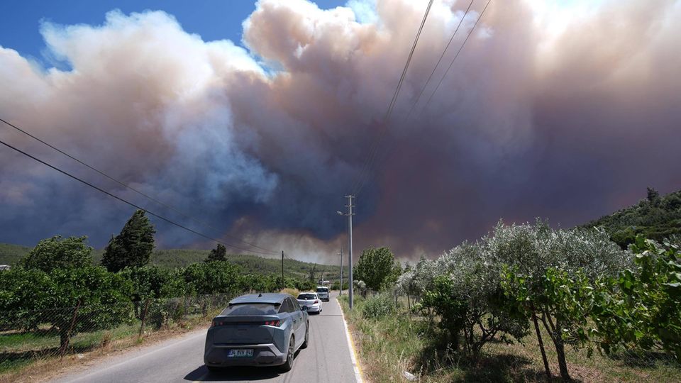 Waldbrand in Türkei