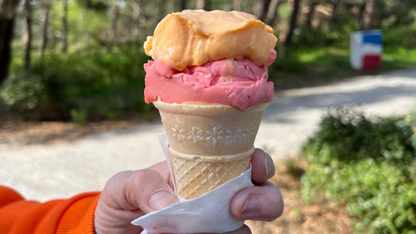Seine Waffel bekommt man in den meisten Läden samt Eisserviette