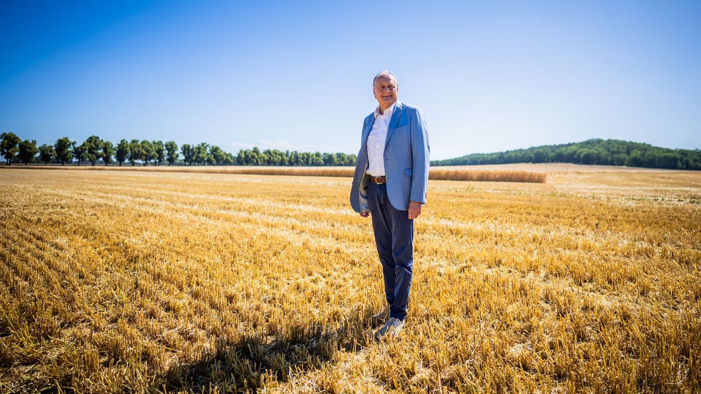 Agriculture: Farmers expect 40 million tons of grain