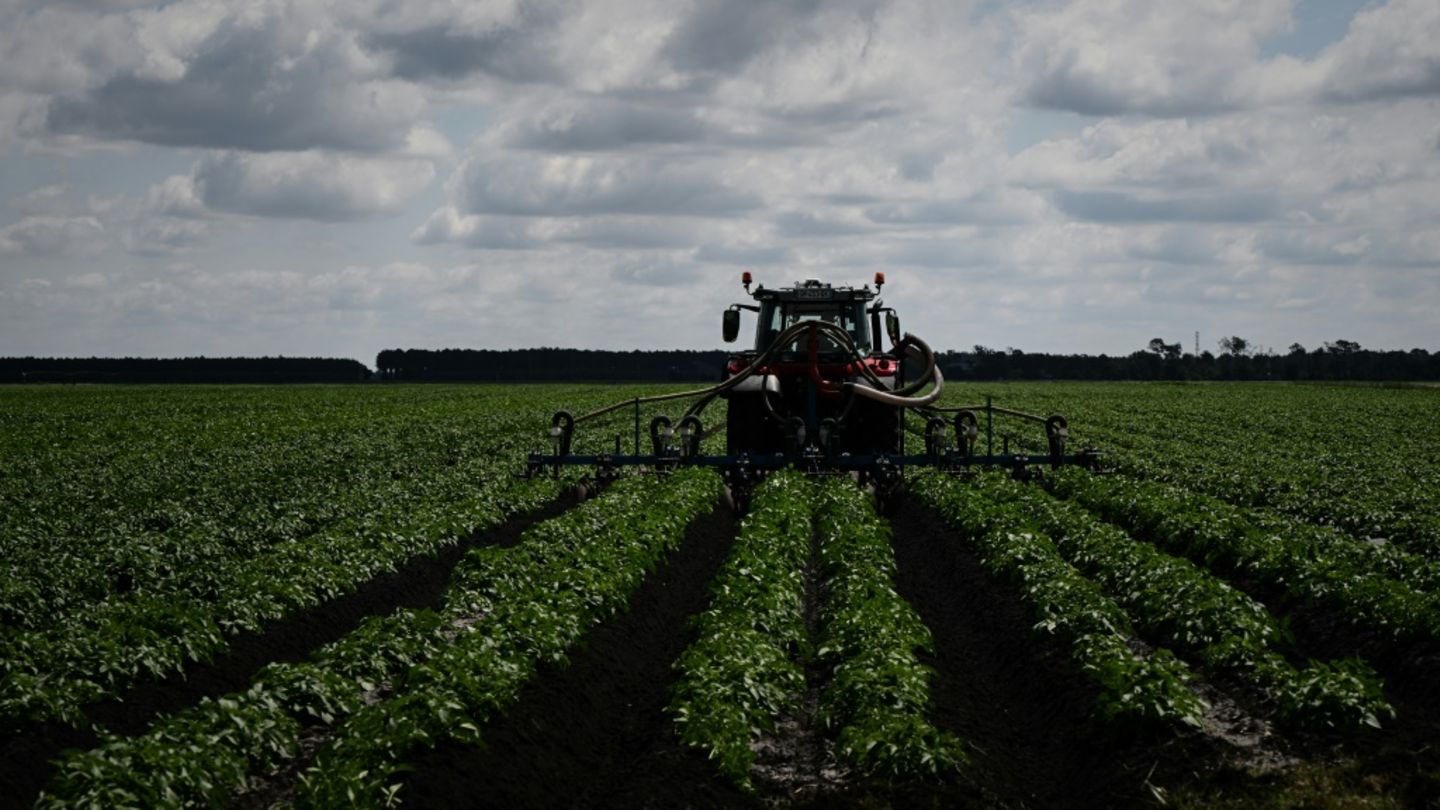 Traktor auf einem Feld