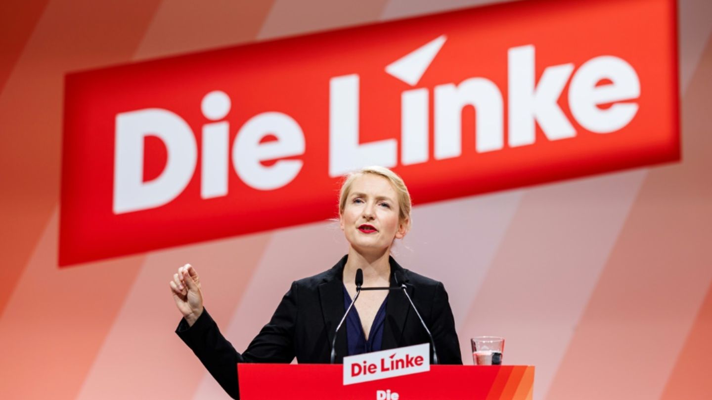 Ines Schwerdtner