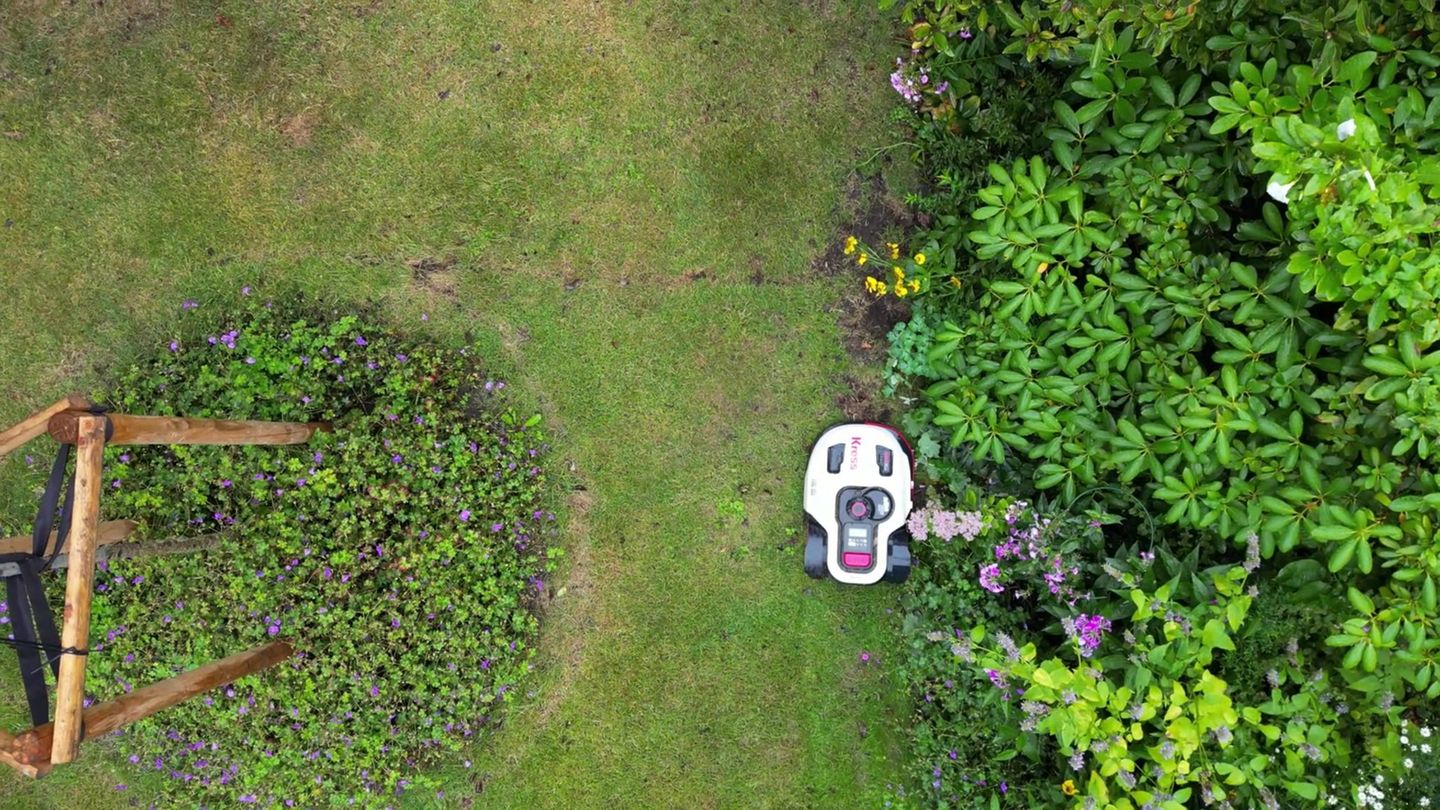 Garden: Morava purchases increased by 45 percent
