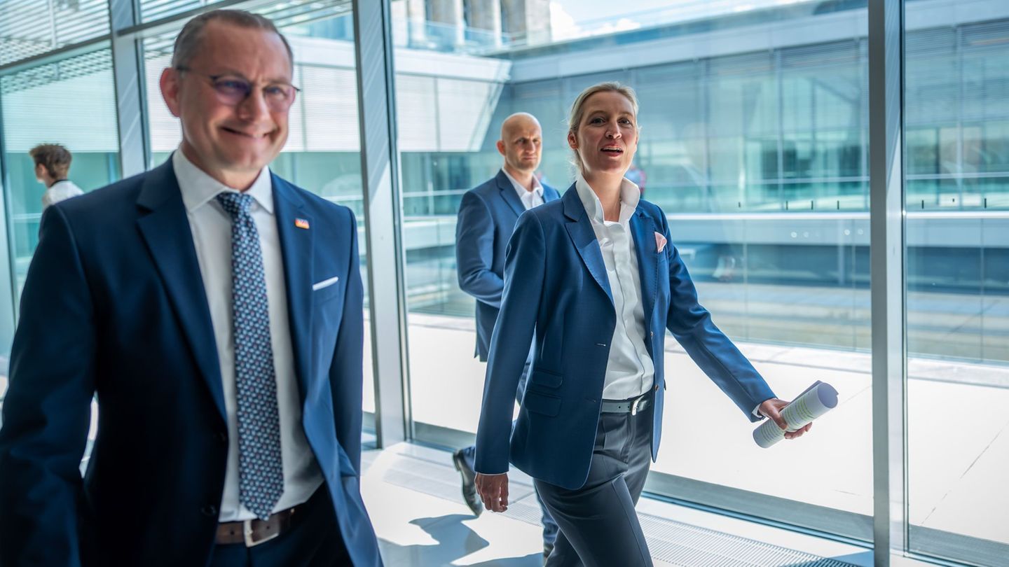 AfD bosses Alice Weidel and Tino Chrupalla get significantly more money AfD bosses Alice Weidel and Tino Chrupalla get significantly more money