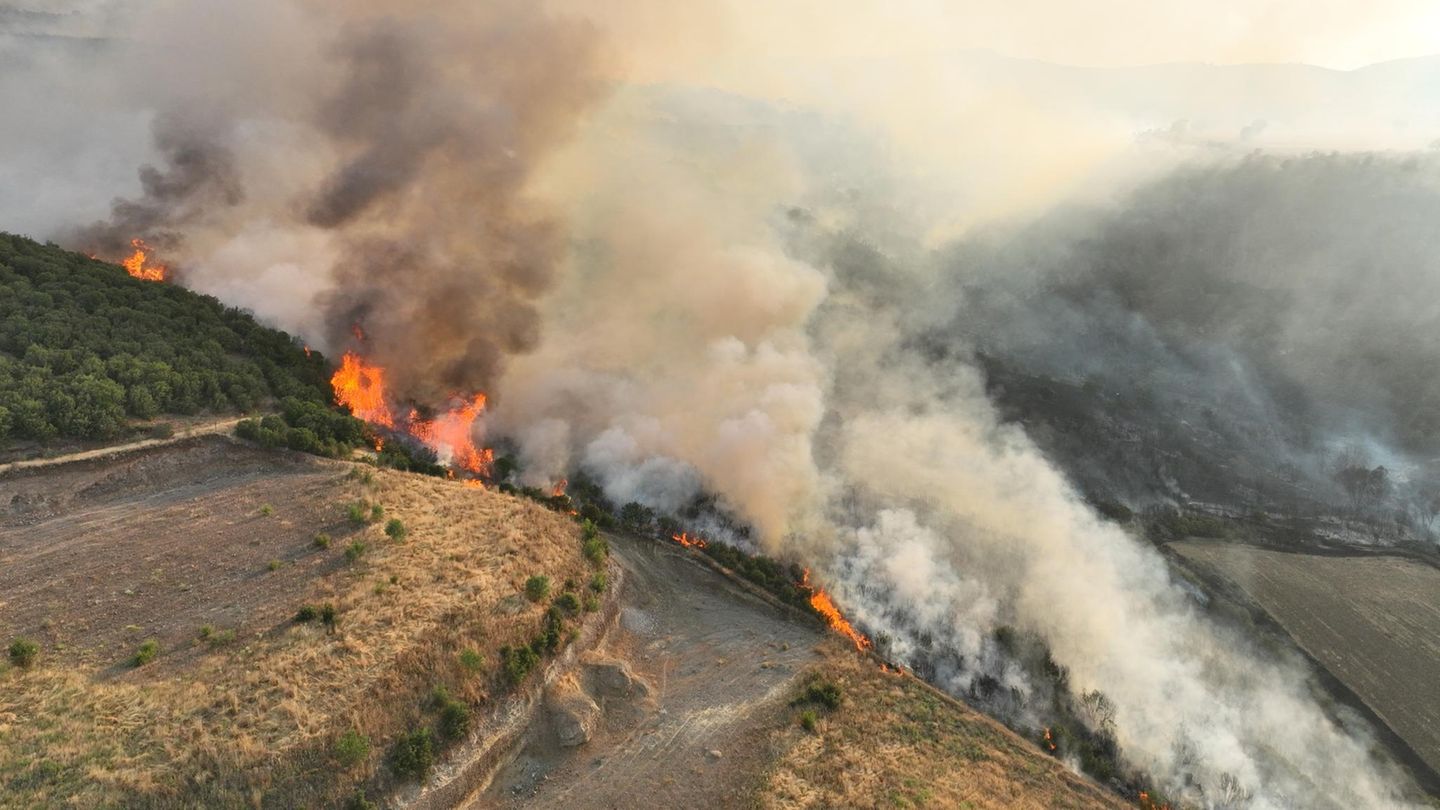 Waldbrände in der Türkei