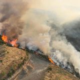 Waldbrände in der Türkei