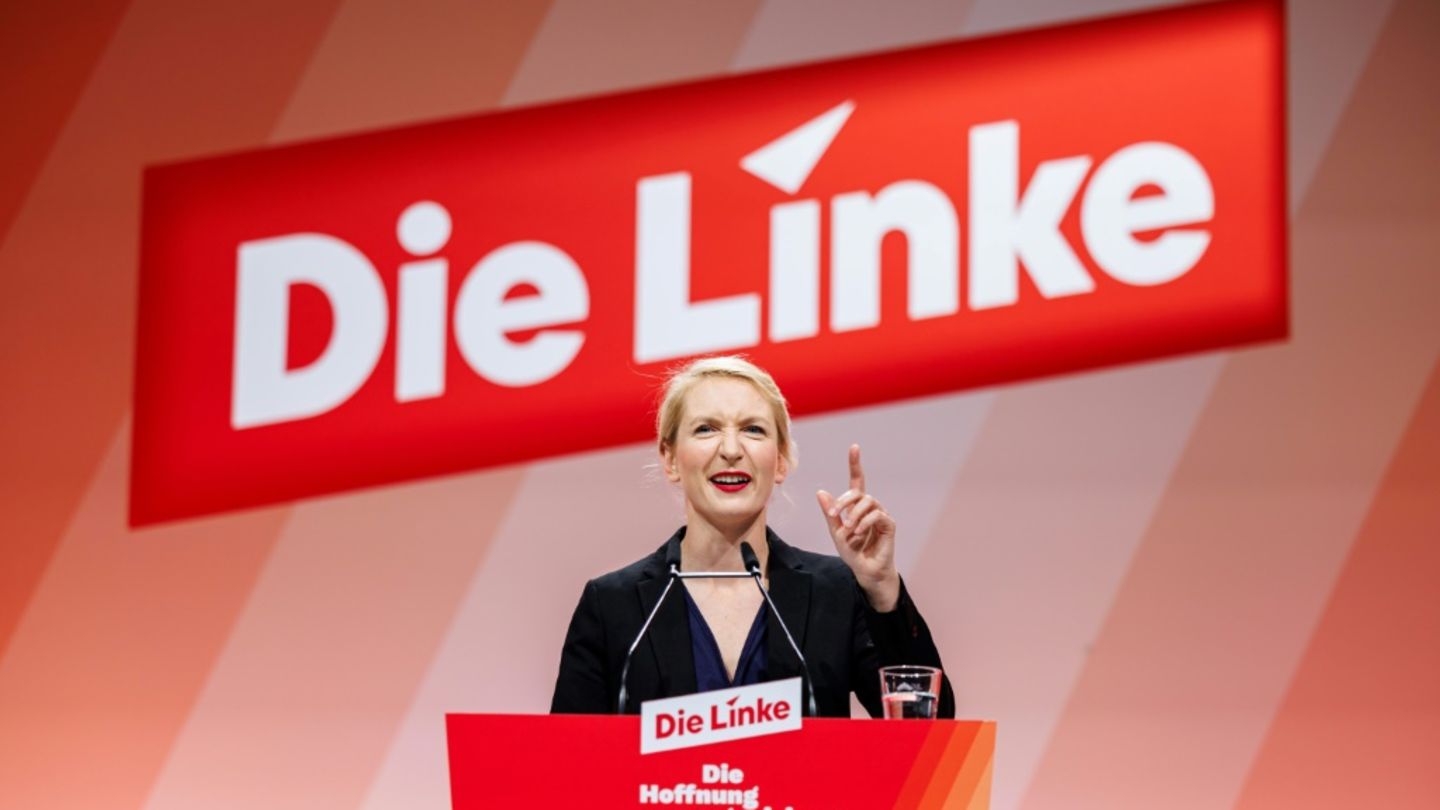 Parteichefin Schwerdtner