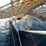 Royal Clipper Galionsfigur