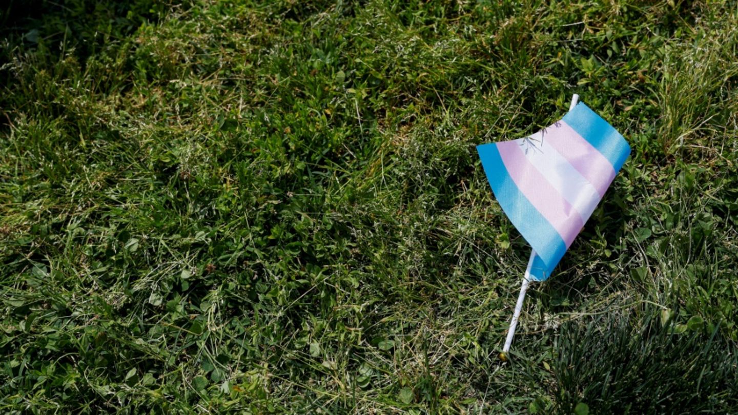 Flagge von Transgenderbewegung