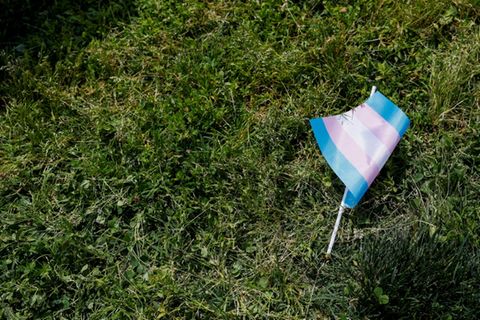 Flagge von Transgenderbewegung