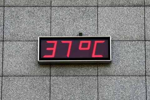 Thermometer