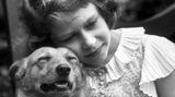 Als kleines Mädchen kuschelt Elizabeth sich 1936 an ihren Hund