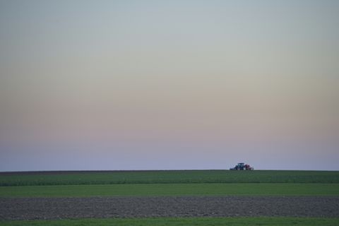 Traktor auf Feld