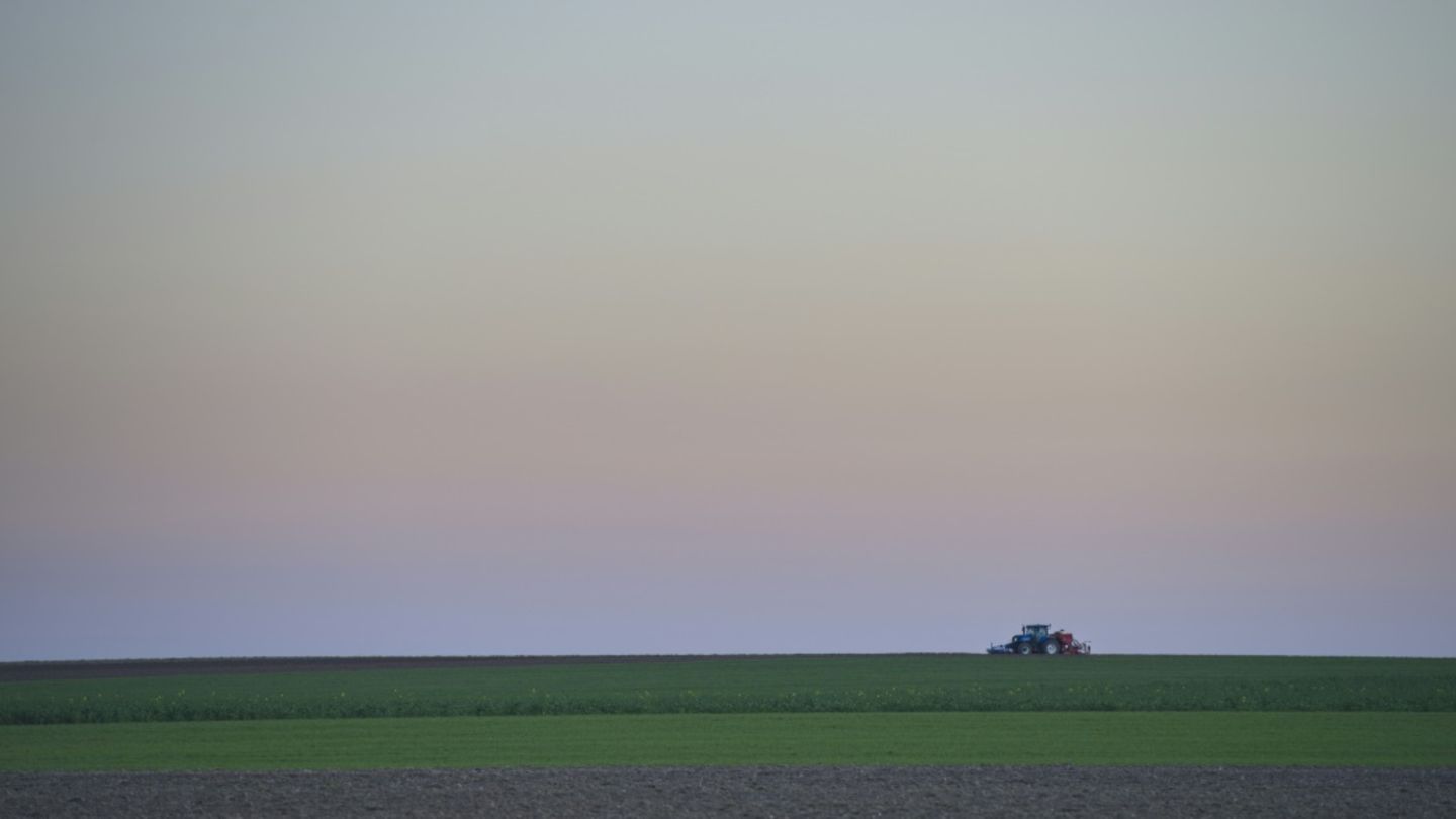 Traktor auf Feld