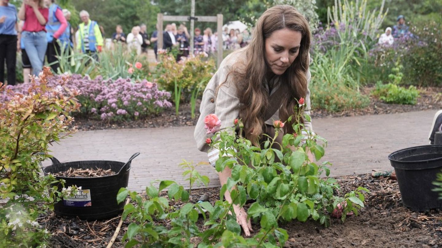 Princess Kate: She plants “Catherine’s Rose” for clinic