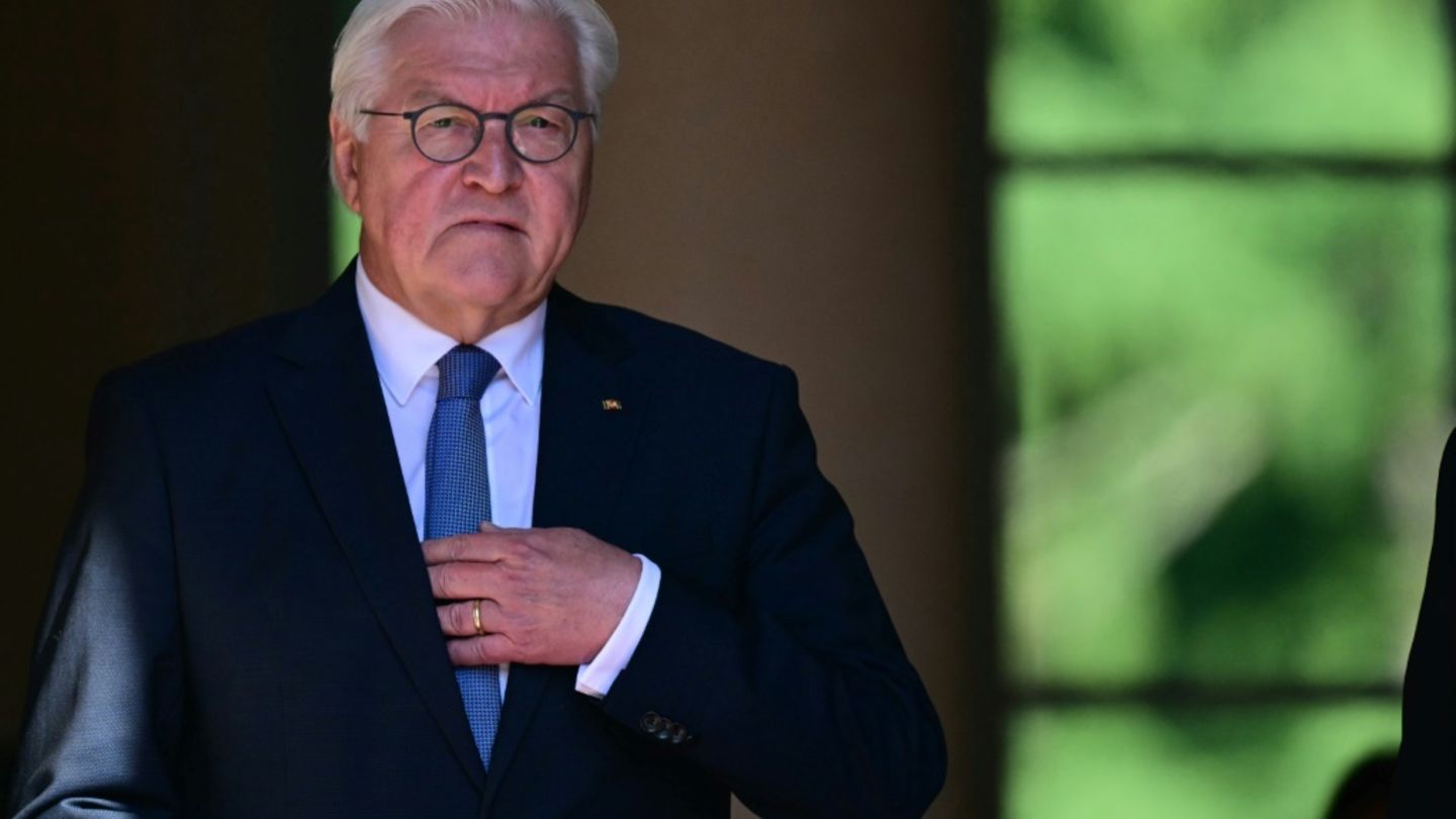 Bundespräsident Steinmeier