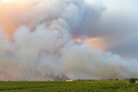 Der Waldbrand in Sachsen ist weiter nicht unter Kontrolle.