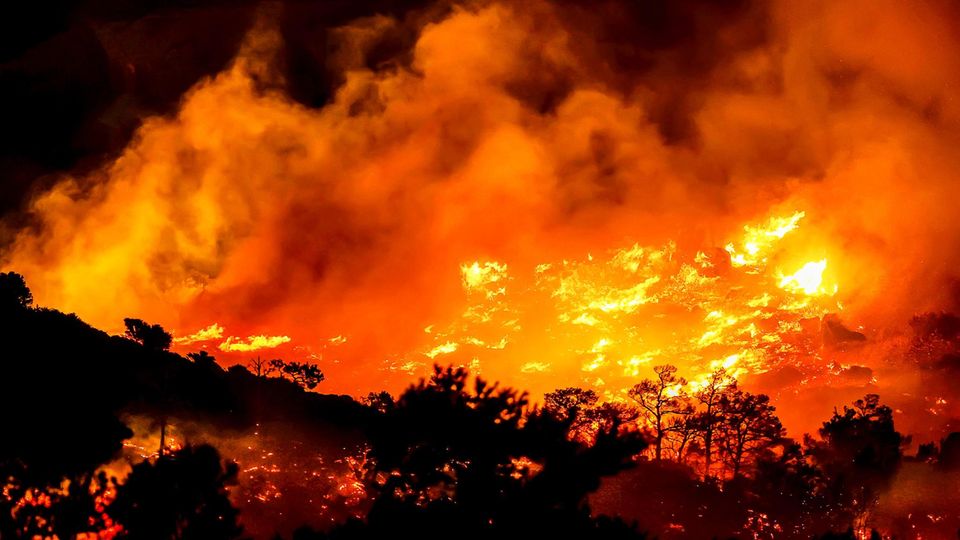 Waldbrände auf Kreta zwingen mehr als 1500 Touristen und Anwohner zur Flucht