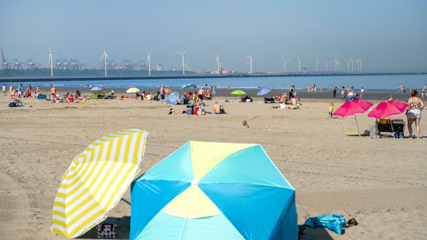 Strand in den Niederlanden