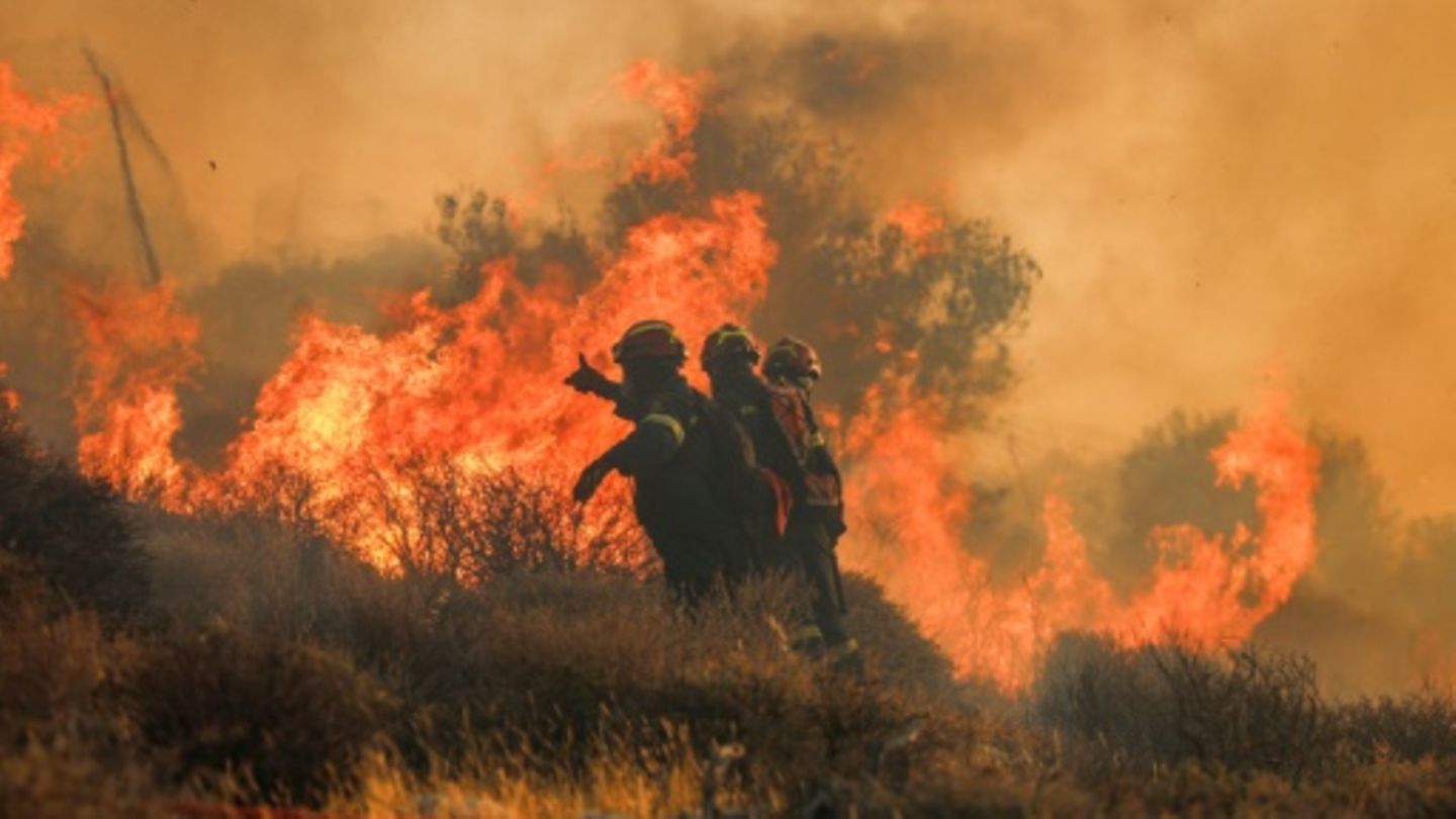 Waldbrand auf Kreta Waldbrand auf Kreta