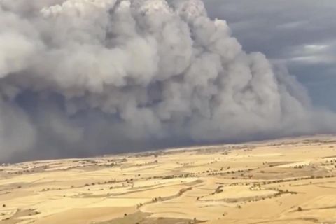 "Unlöschbares Feuer" frisst sich durch spanische Region