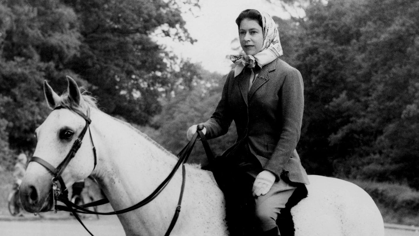 Pferdefreundin Die Queen sitzt auf ihrem Pferd, sie trägt ein Kopftuch und blickt nach vorn