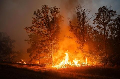 Waldbrand Feuer in einem Wald bei Wülknitz