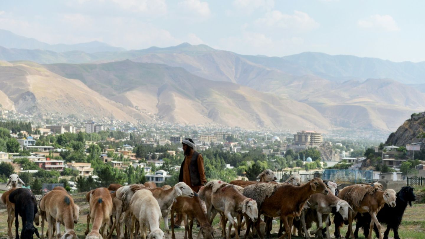 Hirte in Afghanistan