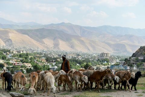 Hirte in Afghanistan