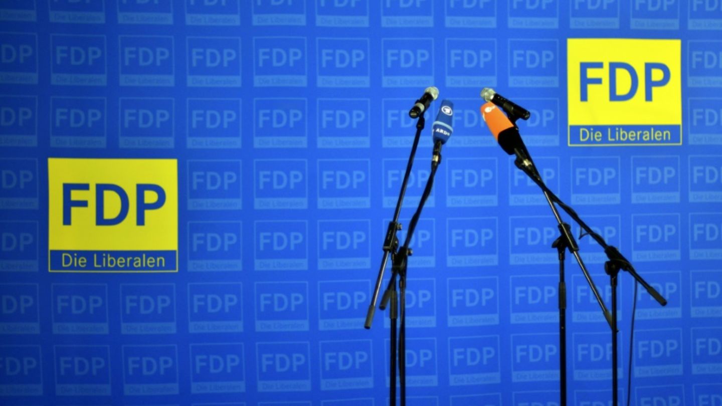 FDP-Logo