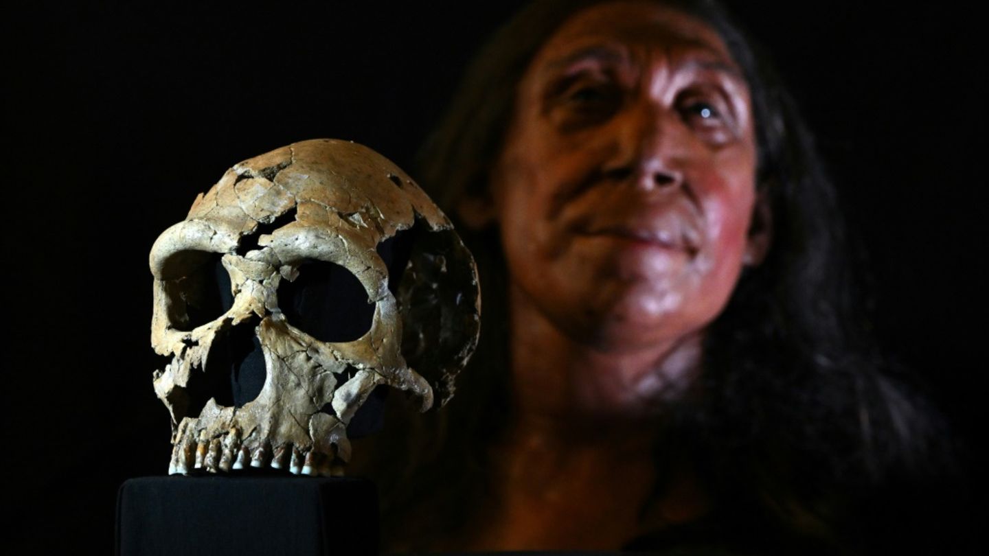 Schädel von 75.000 Jahre alter Neandertaler-Frau