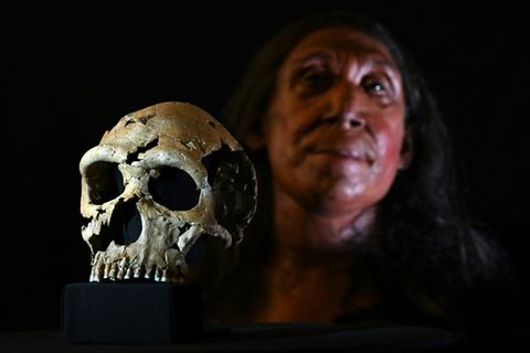 Schädel von 75.000 Jahre alter Neandertaler-Frau