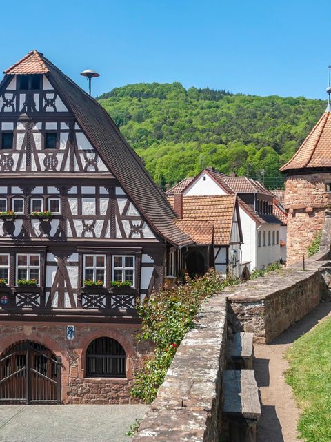 Das "Dornröschen der Pfalz", gelegen an der südlichen Weinstraße, entzückt mit Fachwerkhäusern und einem Rathaus im Renaissancestil. Vor allem vor der Kulisse aus Weinhängen und prächtigen Wäldern 