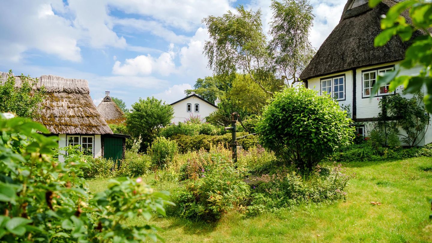 Sieseby, Schleswig-Holstein Das "weiße Juwel" an der Schlei begeistert nicht nur Fans von weißen Katen mit Reetdächern. Das ganze Dorf gehörte bis vor 200 Jahren einem Hamburger Kaufmann. Einziges "Manko": Die romantische Feldsteinkirche ist kaum noch zu sehen, weil sie von hohen Bäumen umstellt ist
