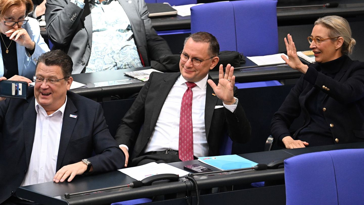 Bundestag: “moderate appearance” – AfD parliamentary group plans behavioral code