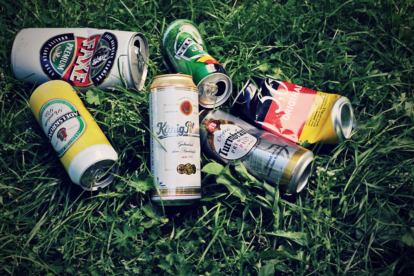 Dosenbier Test