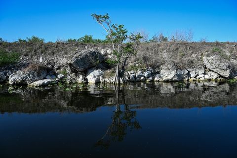 Everglades National Park in Florida