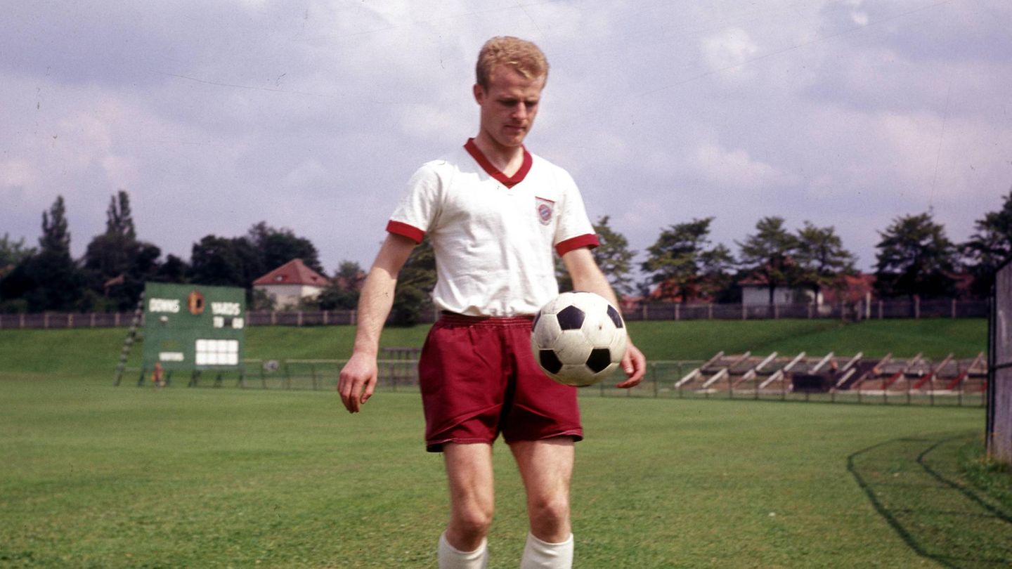 Rudolf Schmidt