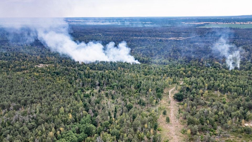 Feuer außer Kontrolle: Feuerwehr: Sachsen-Brand so groß wie 1400 Fußballfelder Feuer außer Kontrolle: Feuerwehr: Sachsen-Brand so groß wie 1400 Fußballfelder