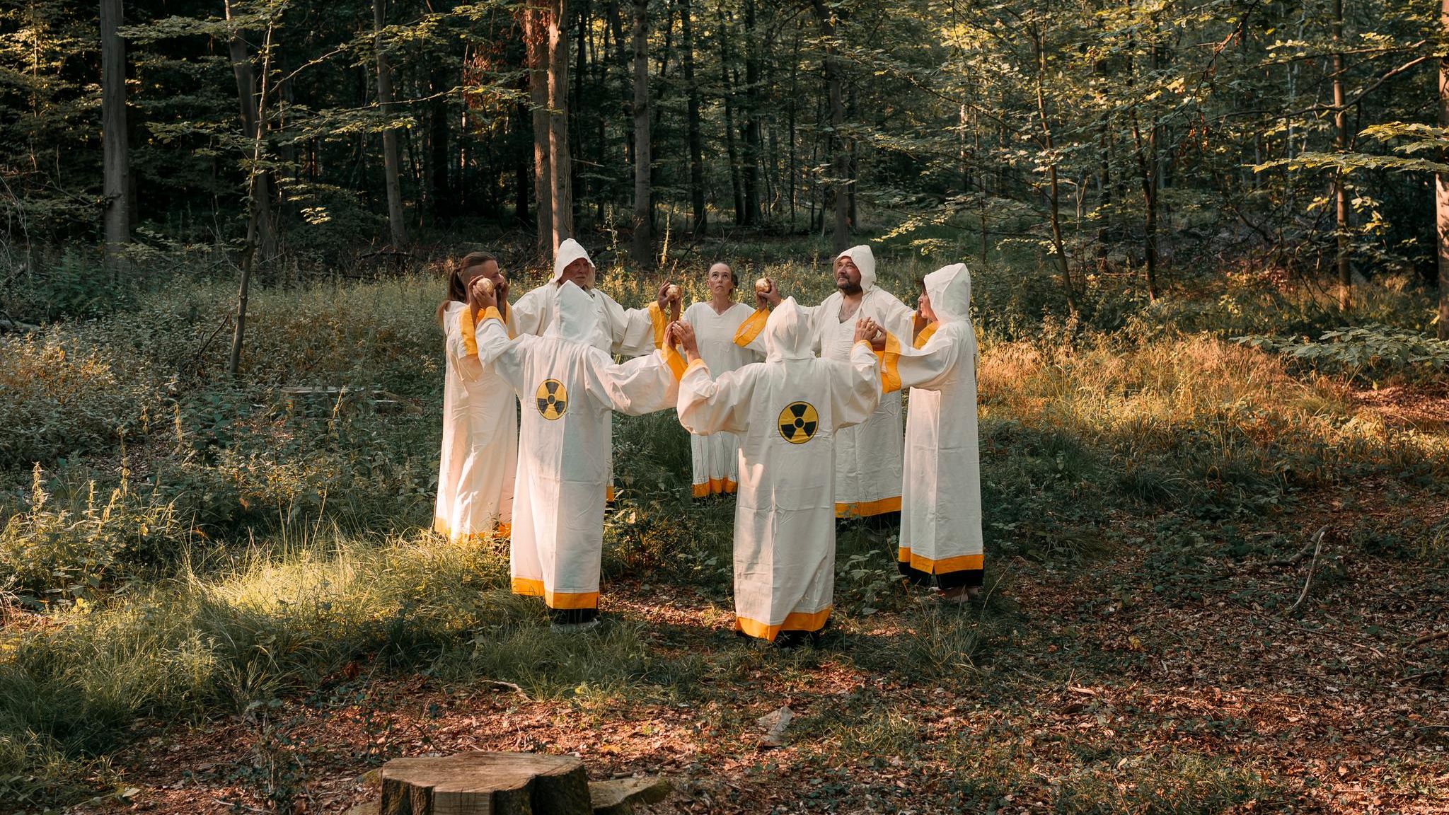 Münsterländer Performancegruppe im Wald