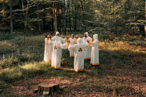 Münsterländer Performancegruppe im Wald
