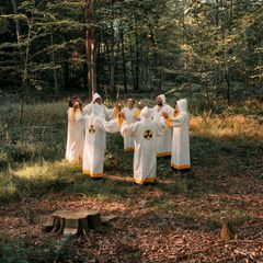 Münsterländer Performancegruppe im Wald