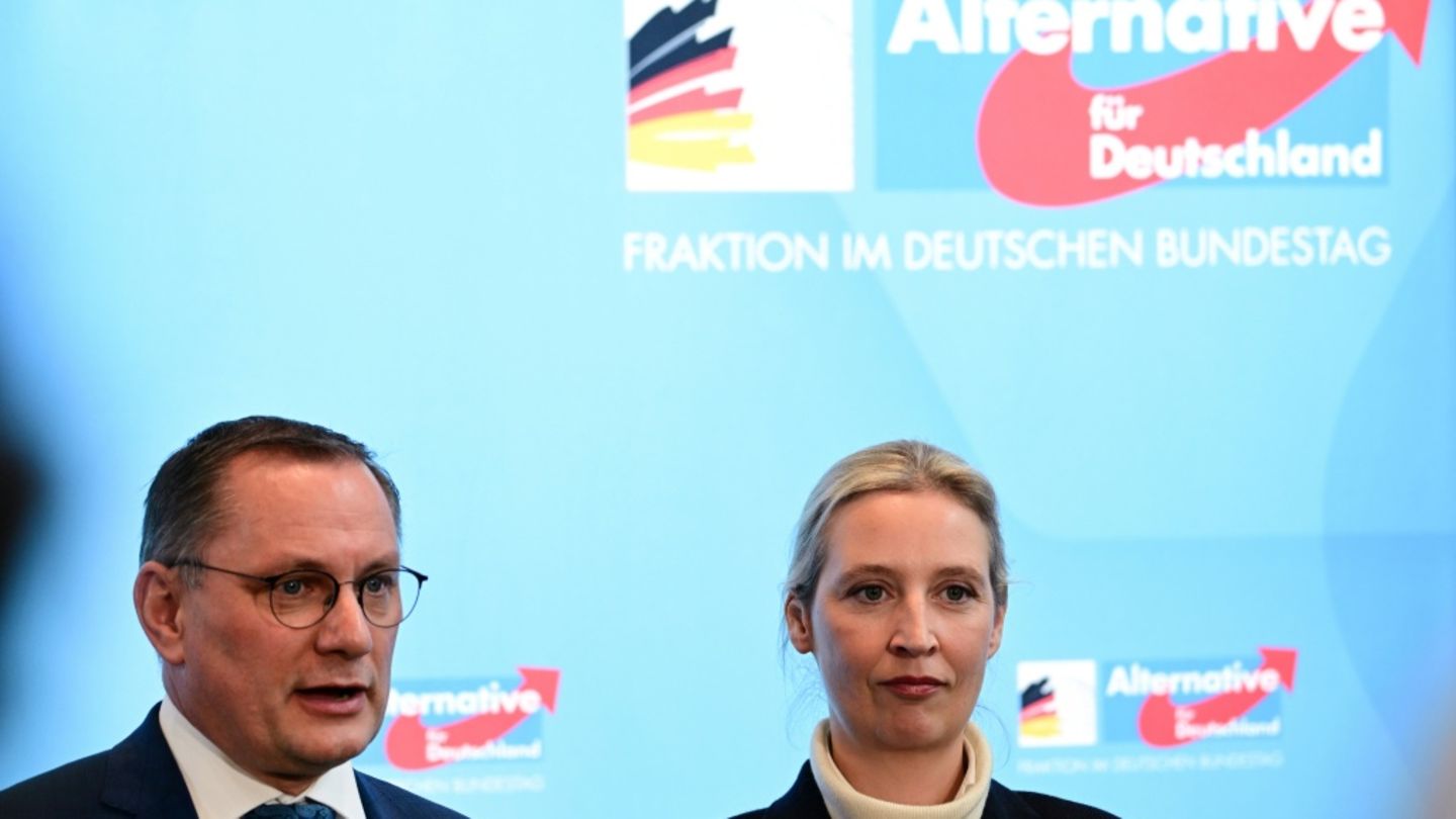 Parteichefs Chrupalla und Weidel