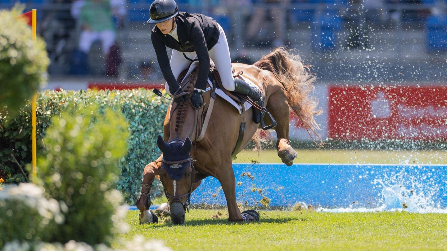 4. Juli: Autsch Aachen, Deutschland. Beim größten Pferdesport-Turnier in Deutschland, dem Chio, gab es einige Stürze. Die deutsche Springreiterin Jana Wargers strauchelte mit ihrem Pferd Like Arpeggio am Wassergraben, hielt sich aber mit Mühe im Sattel. Like Arpeggio soll es ersten Berichten nach gut gehen. Glück gehabt