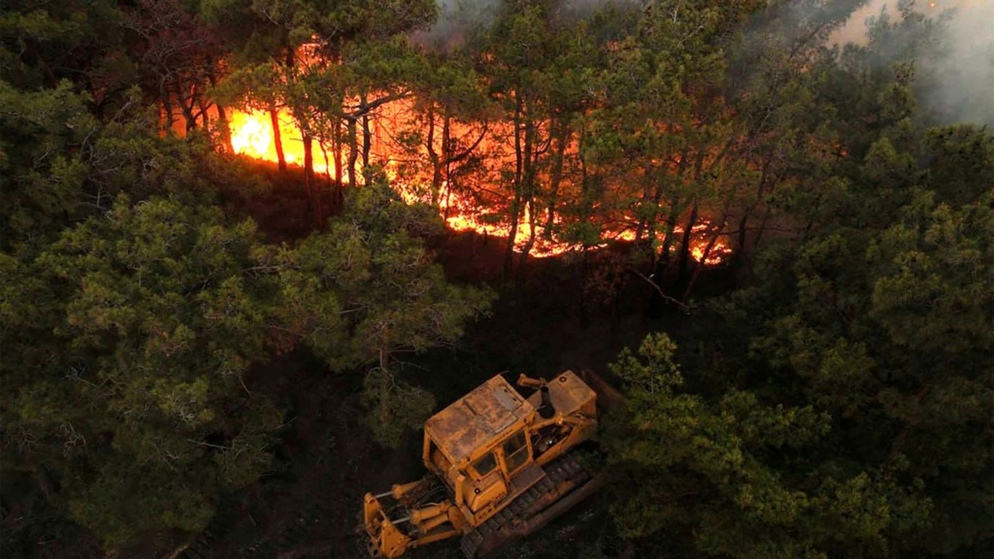Brand in Katal Maaf in Latakia