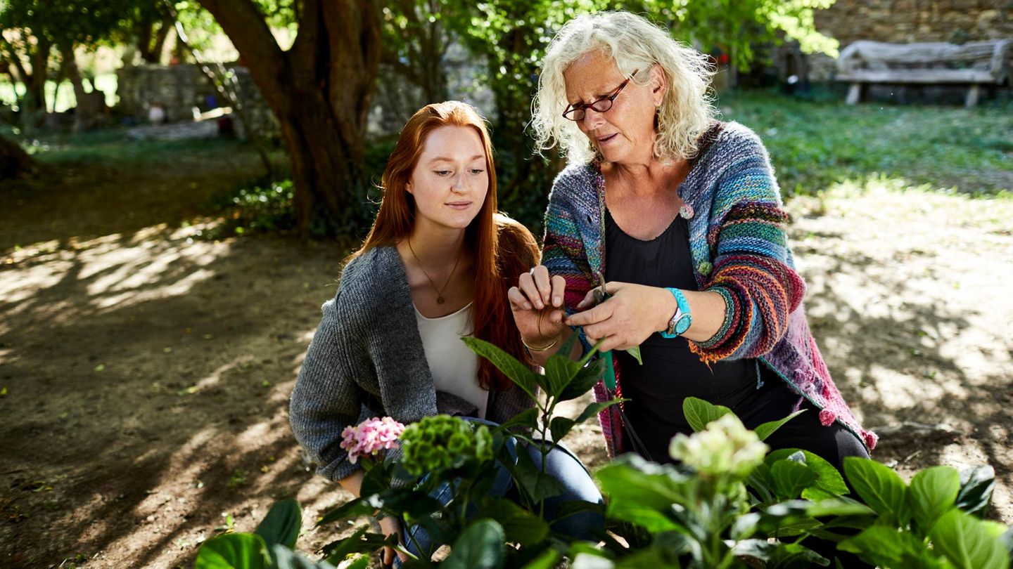 Frauen pflanzen Schattenpflanzen für den Garten