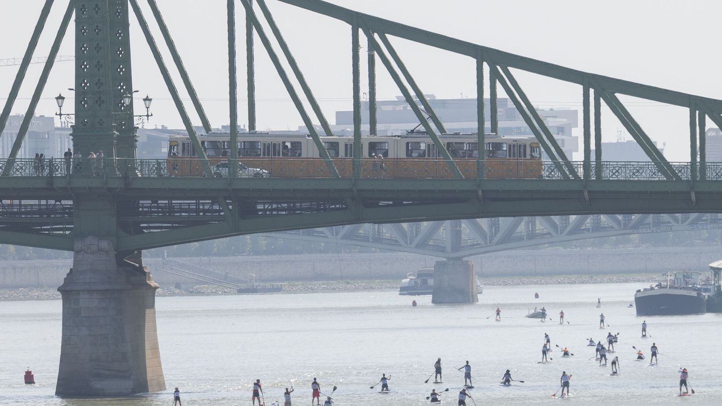 Swimming in big cities: Paris jumps into the Seine: river bathing in Europe’s metropolises