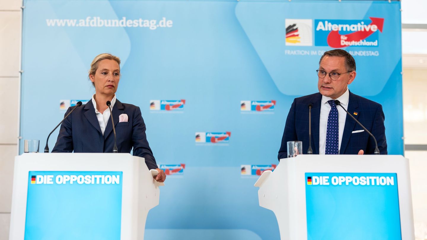 Bundestag: Course determination and rules of conduct: AfD parliamentary group in exam
